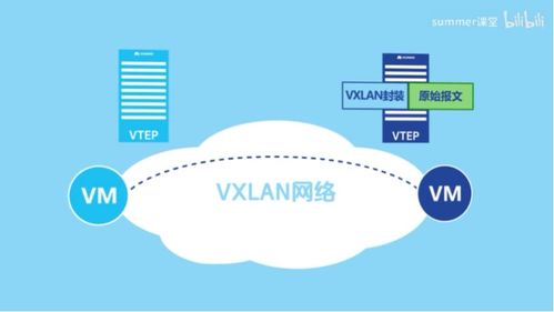 VXLAN通信原理及其在网络与信息安全软件开发中的应用